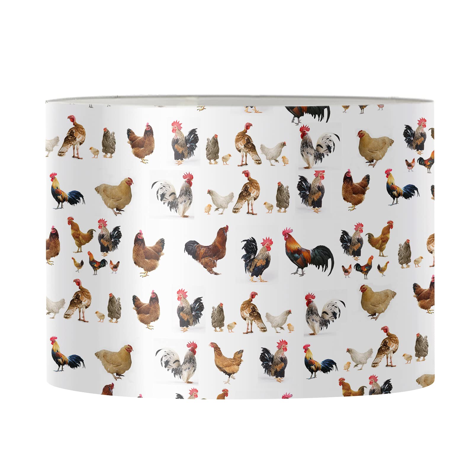 View 2