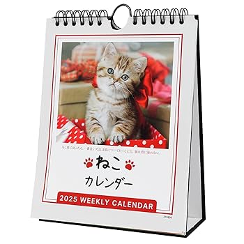 Amazon | カレンダー 2025 卓上/壁掛け兼用 猫猫の名言 18×14cm