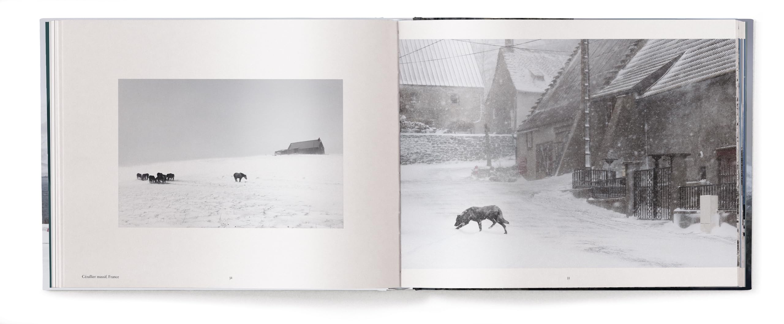 Winterland: The Colors of Snow