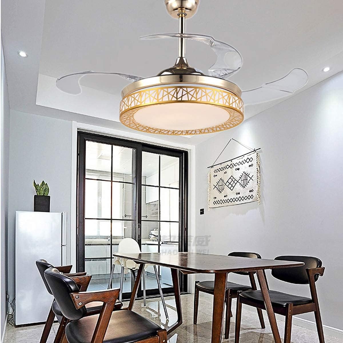 One-Day Sale: Up to 40% Off 42 FZZXOO Invisible Ceiling Fan with Remote, Ceiling Fan with Retractable Acrylic Blades Innovative Fan Lamp Modern Fan Light for Bedroom Living Room Dining Room Gold Birdcage LED chandelier Fan