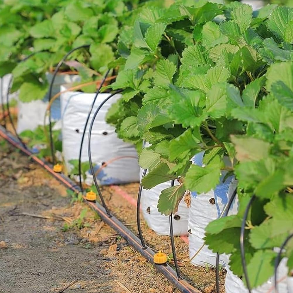 Suinga 500 x Gocciolatore per irrigazione autocompensante da 2 litri/ora, smontabile. Gocciolatore pizzicato adatto per microirrigazione