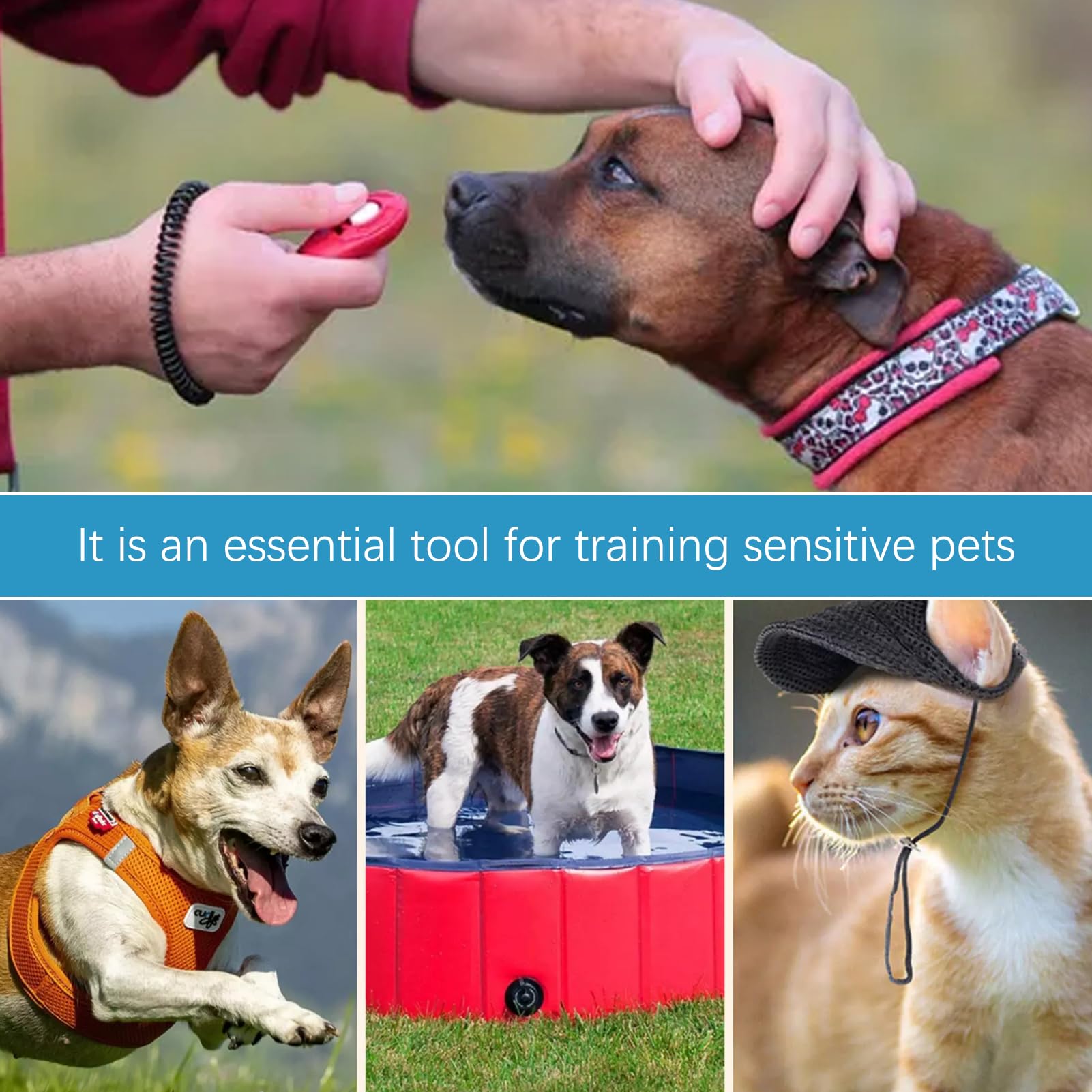 4 PCS Clicker de Chien,Clickers pour Chien,Clicker de Dressage pour Animaux de Compagnie avec Dragonne,Clickers de éducation Formation,Professionnel Clicker Chien Dressage pour Chien,Chat,Cheval.