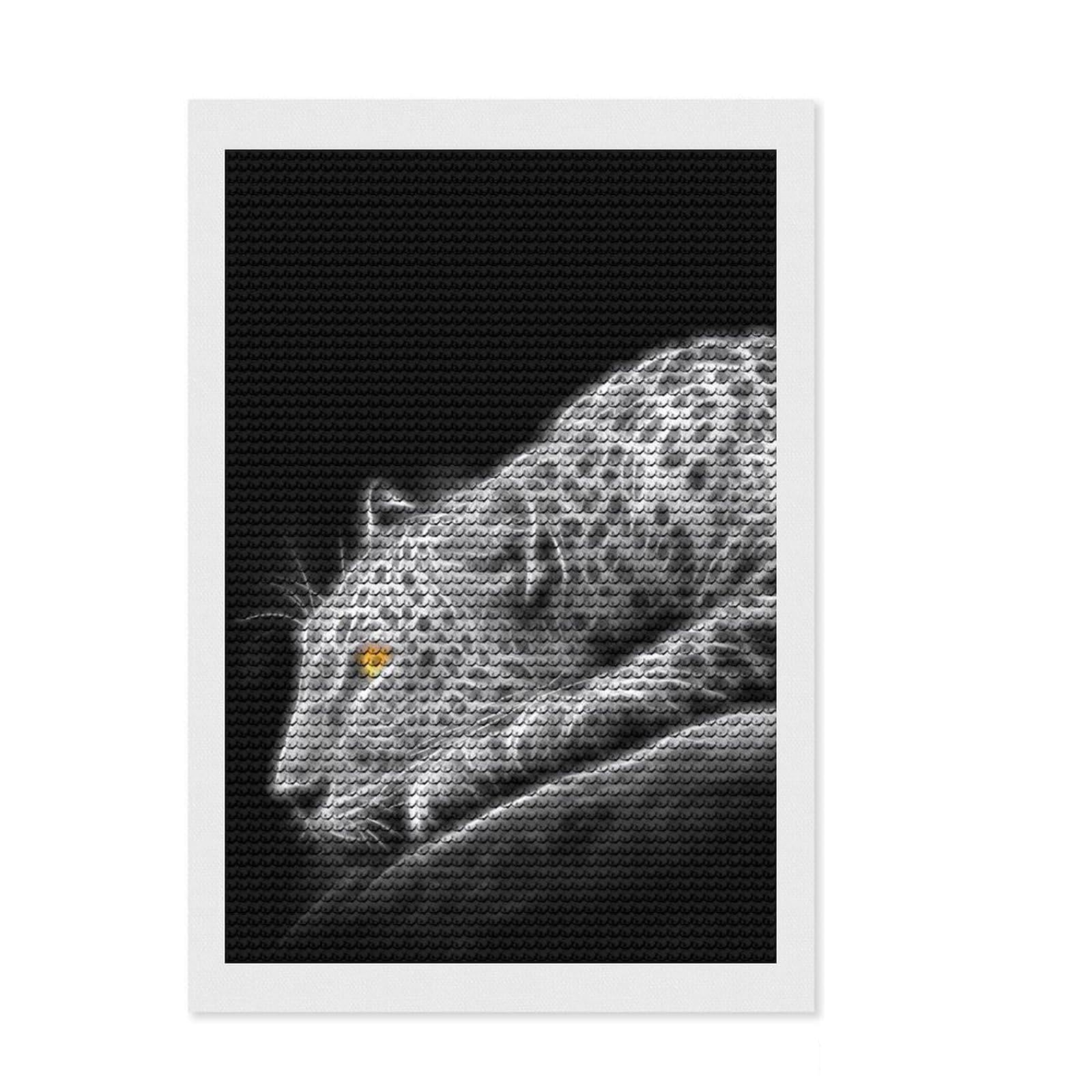 Junmoney Cheetah Leopard Fractal DIY Diamond Art Canvas Kit 8"x12", Fun Craft Experience, Good for Quiet Evenings, Cosy Home Accent, Gift Idea