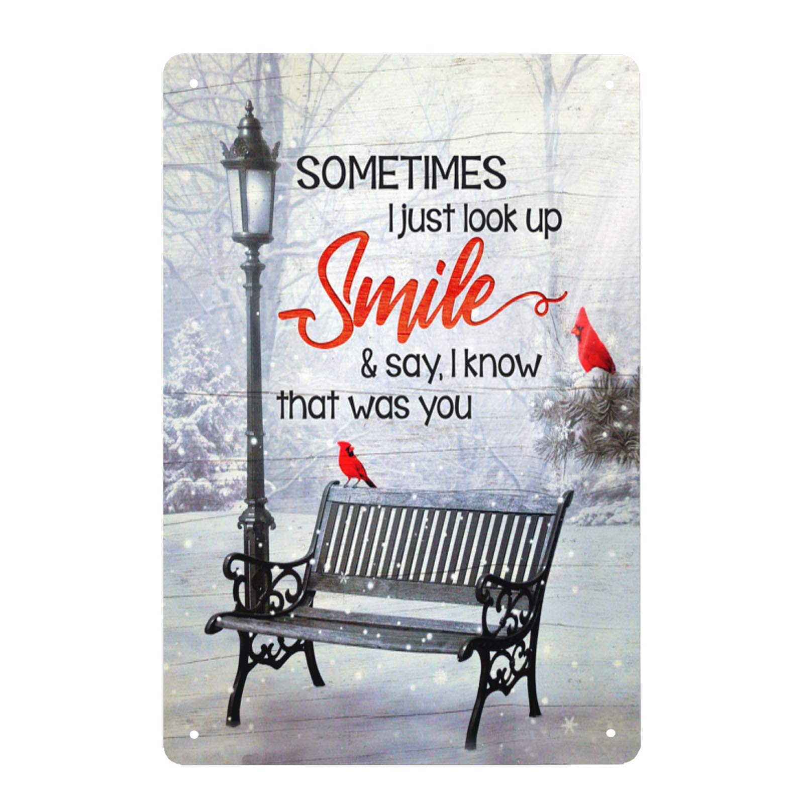 Lawenp Cardinal Bird Vintage Tin Sign Sometimes I Just Look Up Smile and Say I Know That was You Vintage Wall Decor Bar Decor Aluminum Sign for Home Kitchen Bar Funny Sarcastic Metal 8 x 12