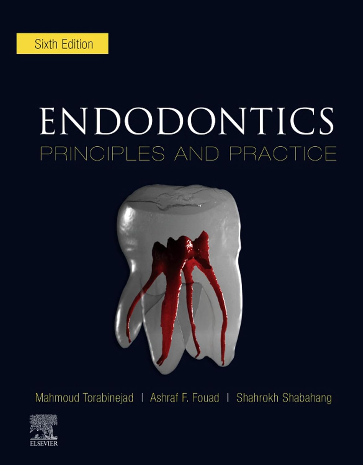Endodontics E-Book      6th Edition, Kindle Edition