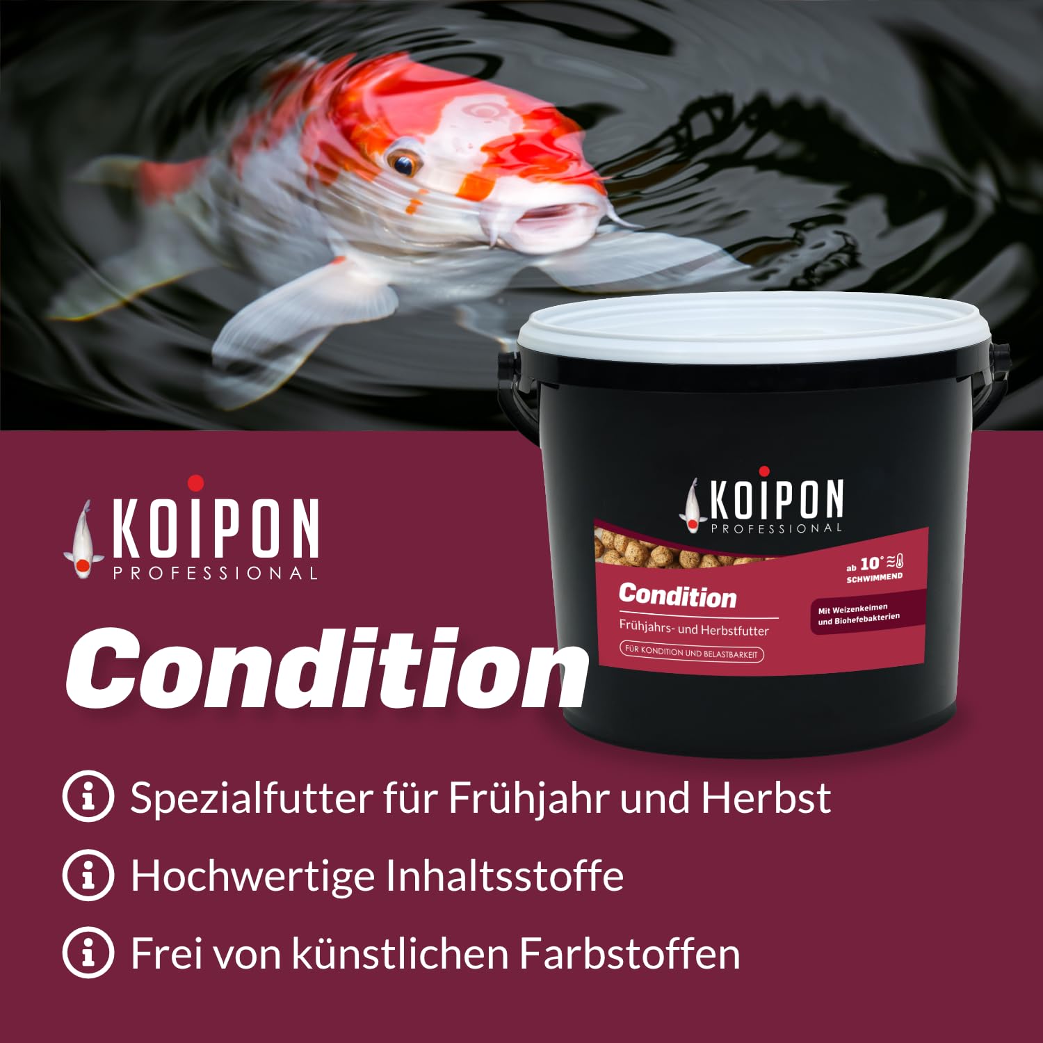 KOIPON Condition Koifutter 3,5 kg 3 mm Frühjahr & Herbst, schwimmend | Leicht verdauliches Frühjahrs- & Herbstfutter, schwimmende Pellets – für japanische Koi, auch für Goldfische