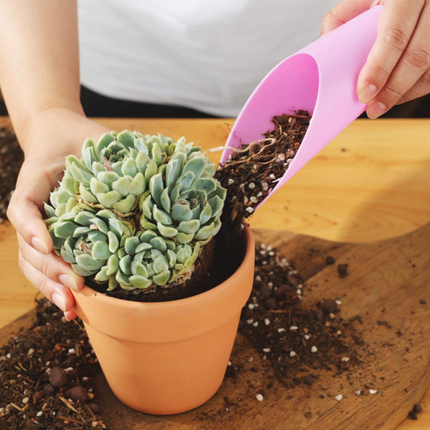 Lezevn 4Pcs Fleshy Plant Soil Shovel Plastic Spade Bucket Scoop Soil Planting Potting Cup Home Gardening Supplies for Plant - Image 4