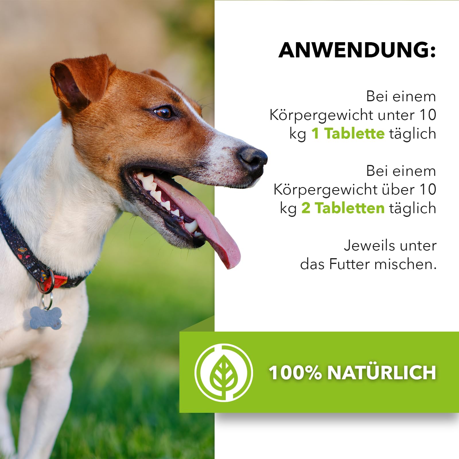 Saint Nutrition® Wuгm Tabletten - Wuгmkur Katze - Entwuгmungsmittel Katzen - Wuгmkur Hund - Ohne künstliche Zusätze - Einfach anzuwenden - 30 Stück - 5