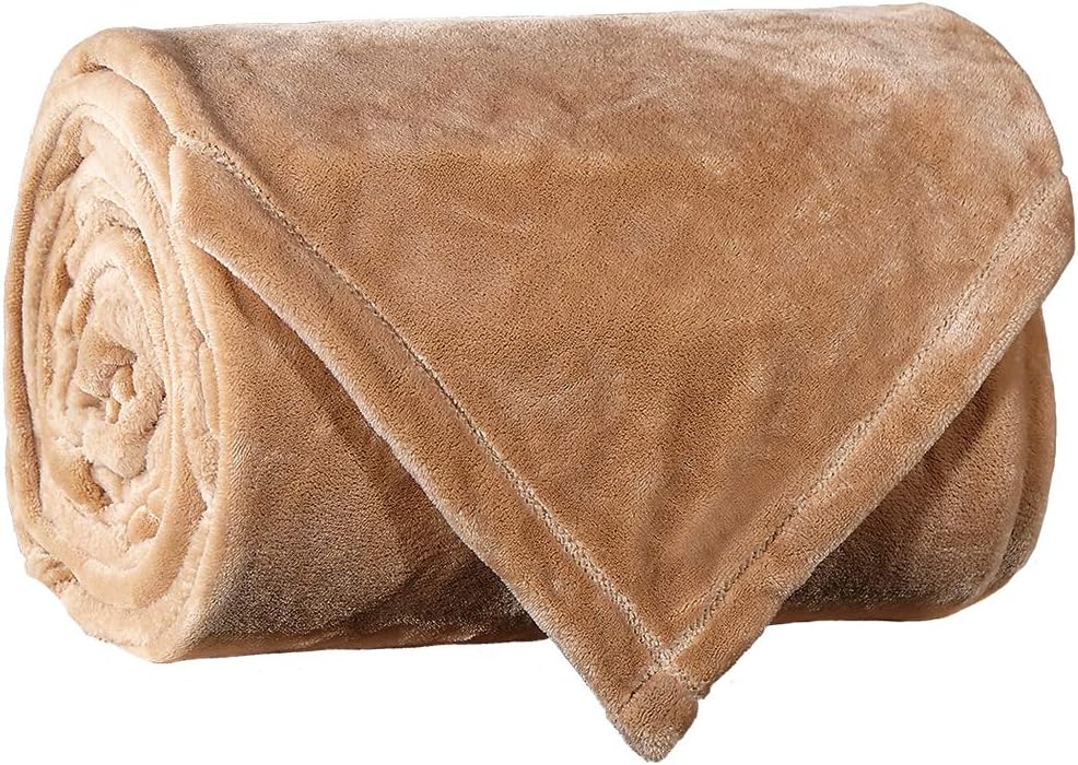 LBRO2M Fleece Bed Blanket Queen Size Super Soft Warm Fuzzy Velvet Plush Throw Lightweight Cozy Couch Blankets ((90x90 Inch) Cream