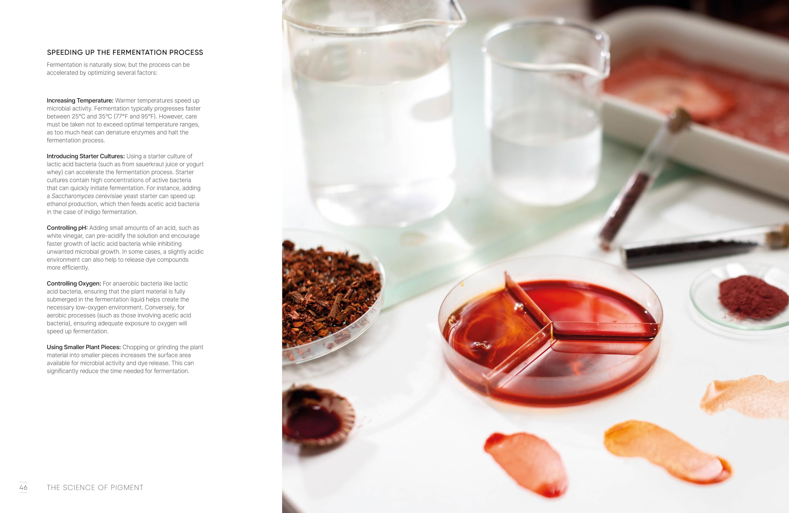 The Natural Pigment Handbook: A Maker’s Guide to the Art, Stories and Recipes for Creating Paint