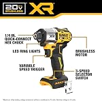 DEWALT 20V Kit de combo sans fil de percement et de perçage de marteau, comprend 2 x 4ah POWERPACK ™ Batteries et chargeur, 20V MAX*XR® (DCK250QQ2)