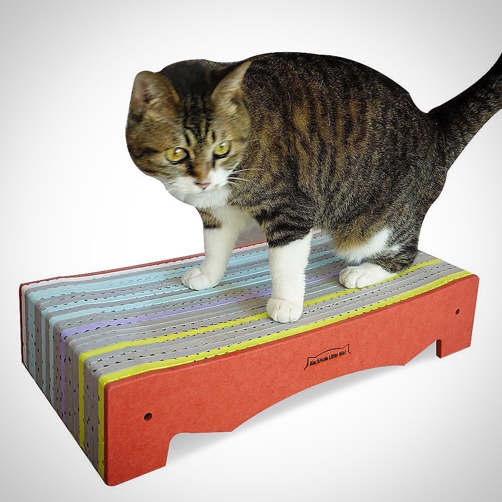 Blackhole Rainbow Cat Scratcher-Bed Type, Less Debris, Premium EVA Foam Scratcher Lounge, Eco-Friendly (Orange Color)