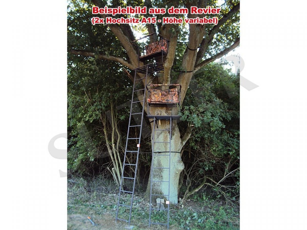 SUTTER Transportabler Hochsitz & praktische Ansitzleiter/Höhe: 4,5m / Einstellbare Waffenauflage und wegklappbare Sitzfläche