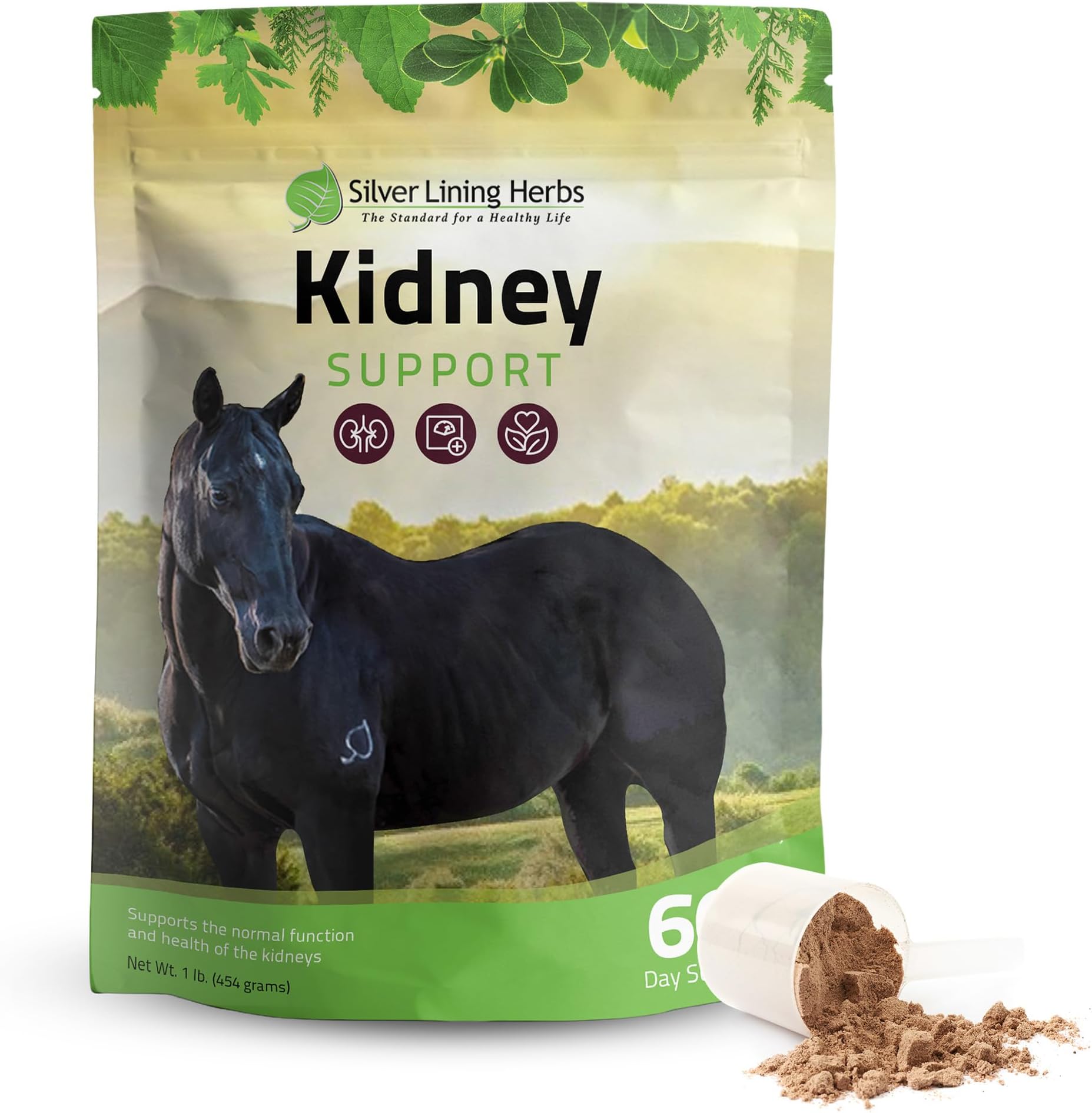 Kidney Support