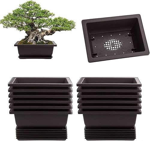 LANIAKEA Paquete de 12 macetas de bonsái con bandejas de 6.5 pulgadas con drenaje de plástico, macetas de entrenamiento para bonsái para decoración