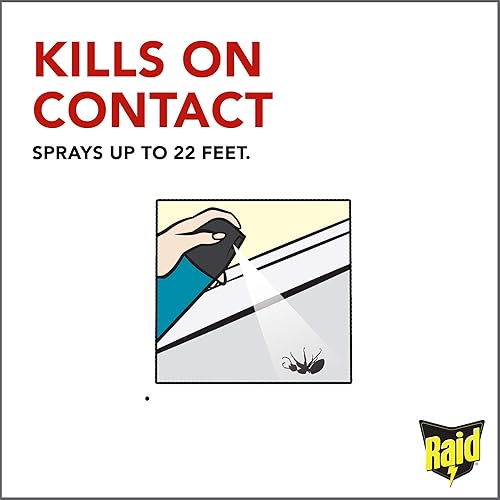 Miniatura 7 de Raid Wasp Hornet Killer Spray (14 onzas (paquete de 3))