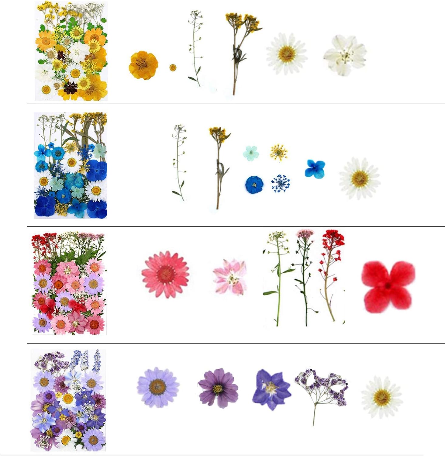 Fuyamp 131 Pcs Pressed Dried Flowers, Mixed Multiple Natural Flowers Leaves - Image 3