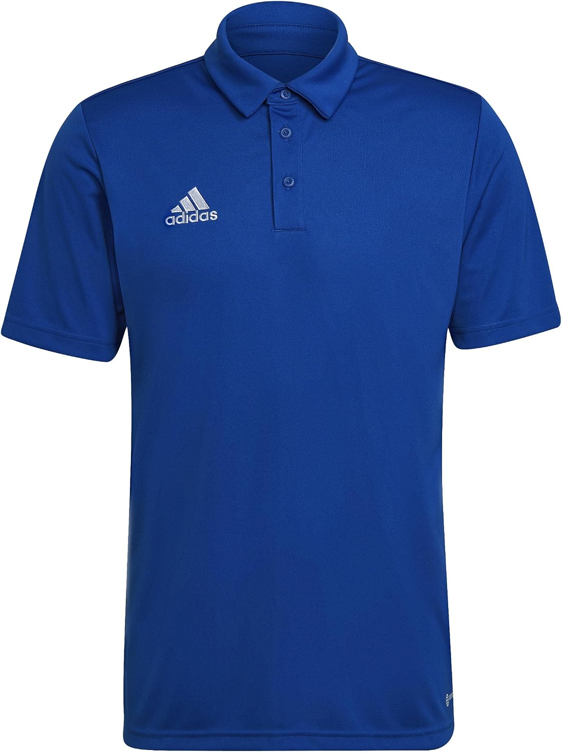 Team Royal Blue