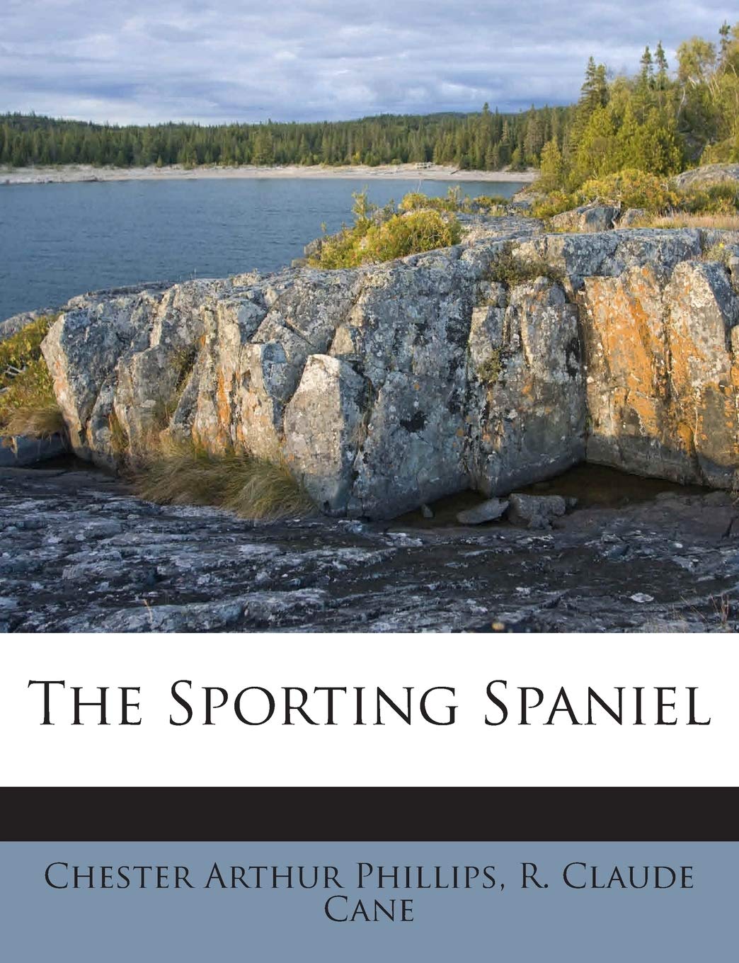 The Sporting Spaniel