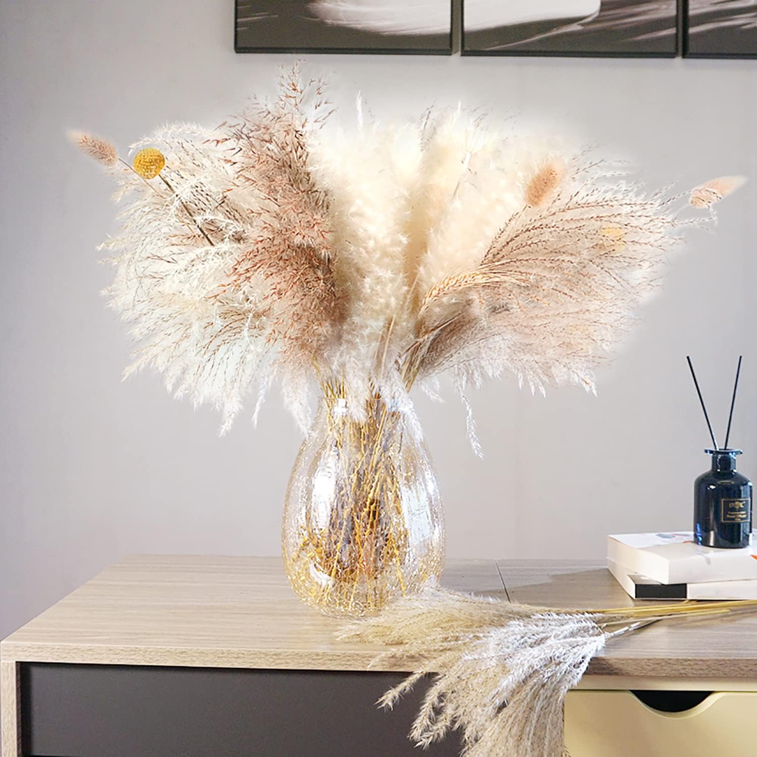 Amazon.com: Dried Pampas Grass Decor 