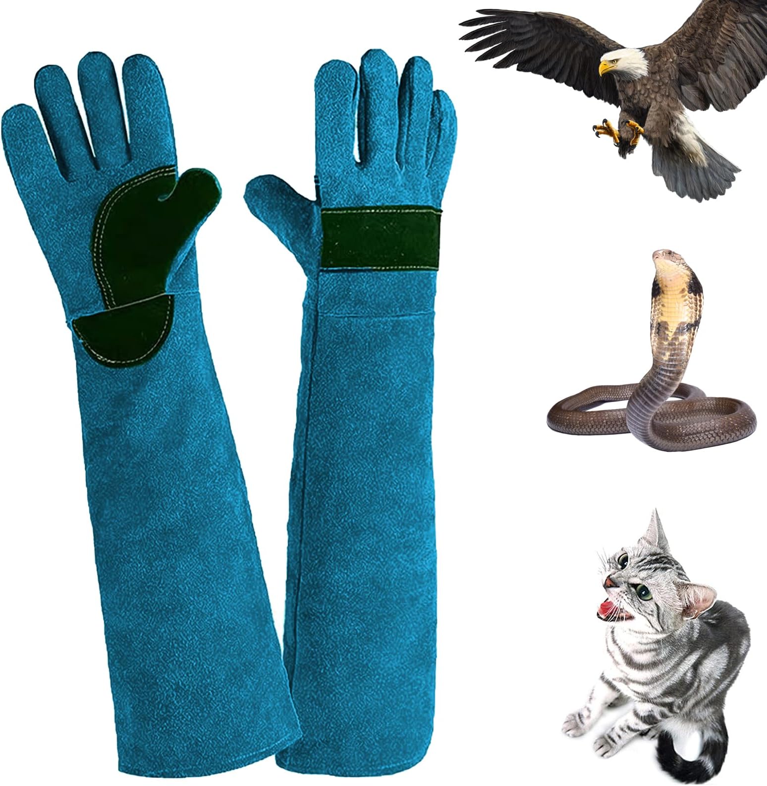 PetFusion Multipurpose Pet Glove for Grooming, Trips To Vet, Handling. [Puncture & Scratch