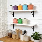 Tosnail 24 Pack 3.75" Small Plastic Plant Flower Pot with Saucers, Seedlings Nursery Pots Planter with Pallet Planting Gardening Containers - Assorted 8 Colors