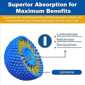 Liposomal Lumbrokinase Nattokinase Serrapeptase Complex, Lumbrokinase Supplement for Circulation Heart Health and Digestion,60 Capsules