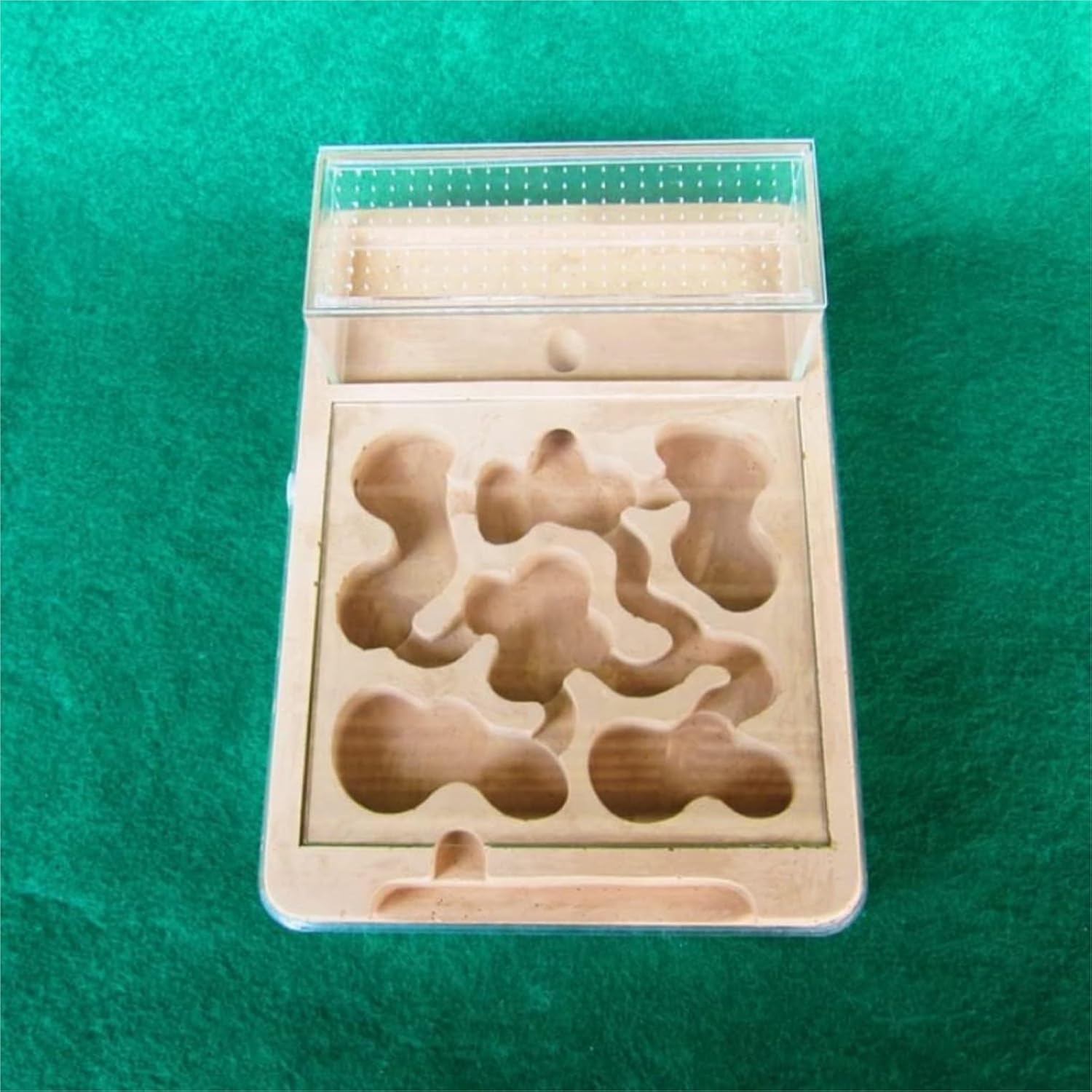 Ant Farm Ant Castle Plaster DIY Acrylic Farm Flat Nest Palace Watch Yourself Dig House Tunnel Habitat