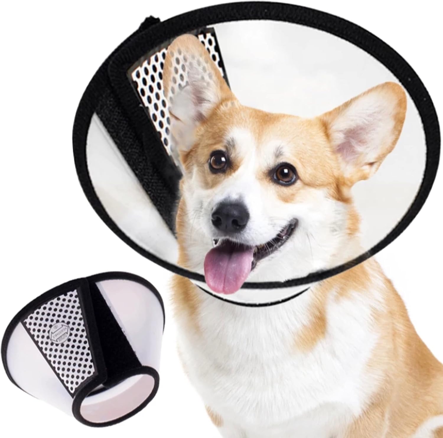small dog cone collar