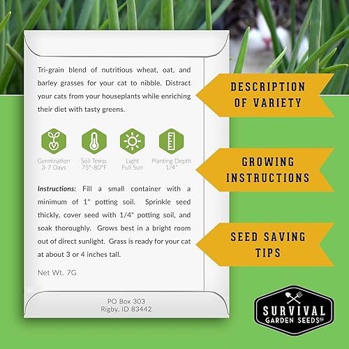 Miniatura 2 de Semillas de hierba para gatos para plantar, 3 paquetes con instrucciones para plantar y cultivar verduras para tu mascota en interiores o exteriores