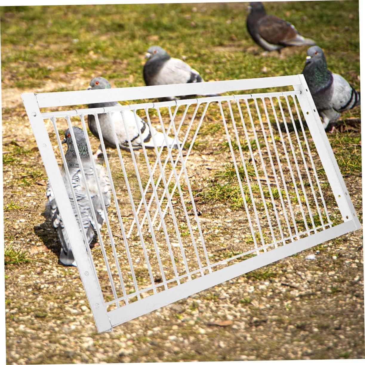 2pcs Birds House Door Pigeon Cage Pigeon Wire House Door for Racing Jumping