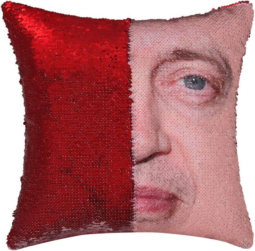 steve buscemi sequin pillow