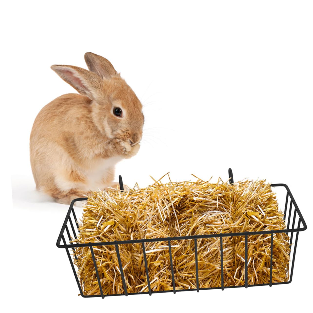 Râtelier Foin Lapin en Fer Noir, Lot de 5pcs Design Suspendu Antichute pour Cage de Petits Animaux, Mangeoire à Foin Résistante à l'usure pour Cage Lapin