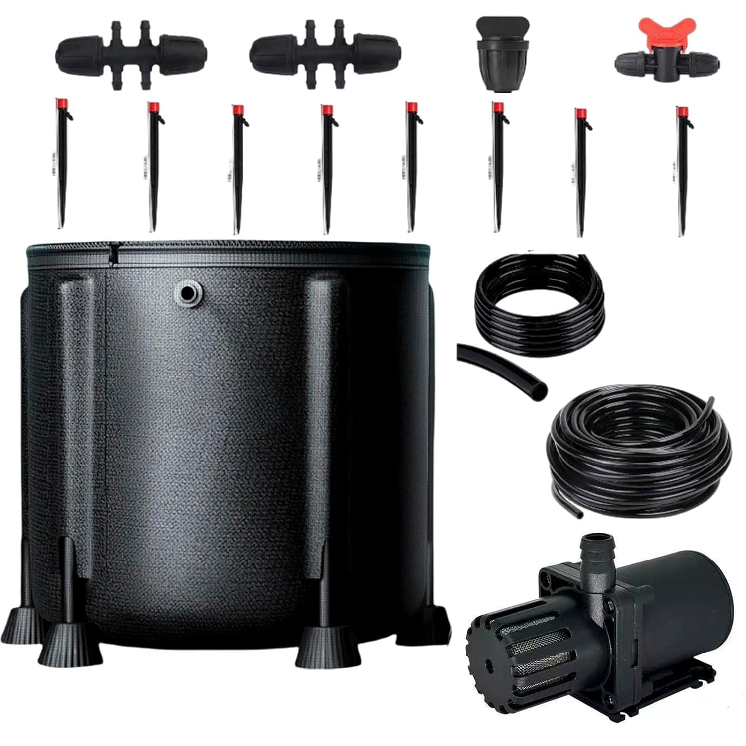 きのこ と!!同居人 フィカス ベンガレンシス 根上り インテリア