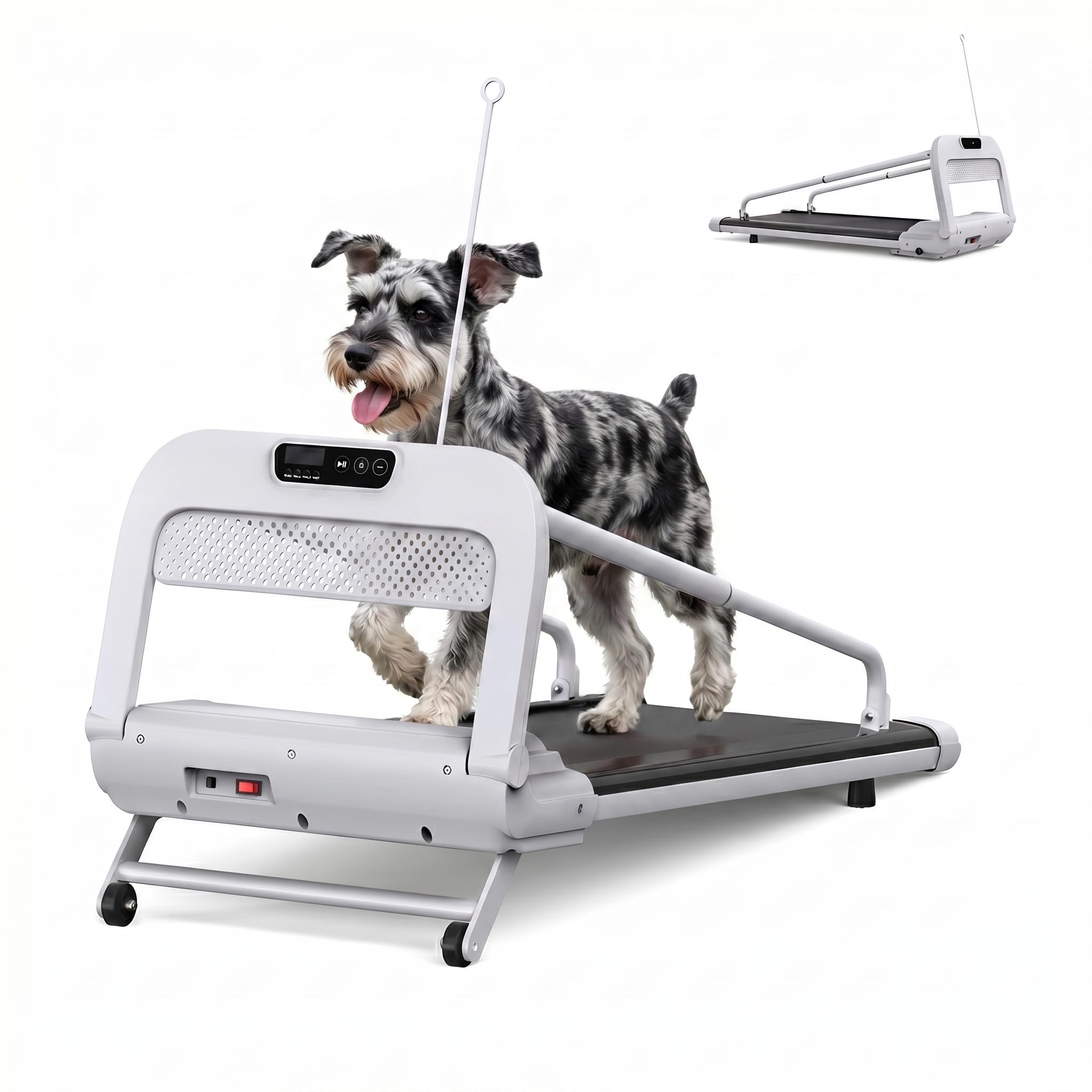Hundelaufband für Kleine & Mittelgroße Hunde, 100 × 40 cm Laufbereich