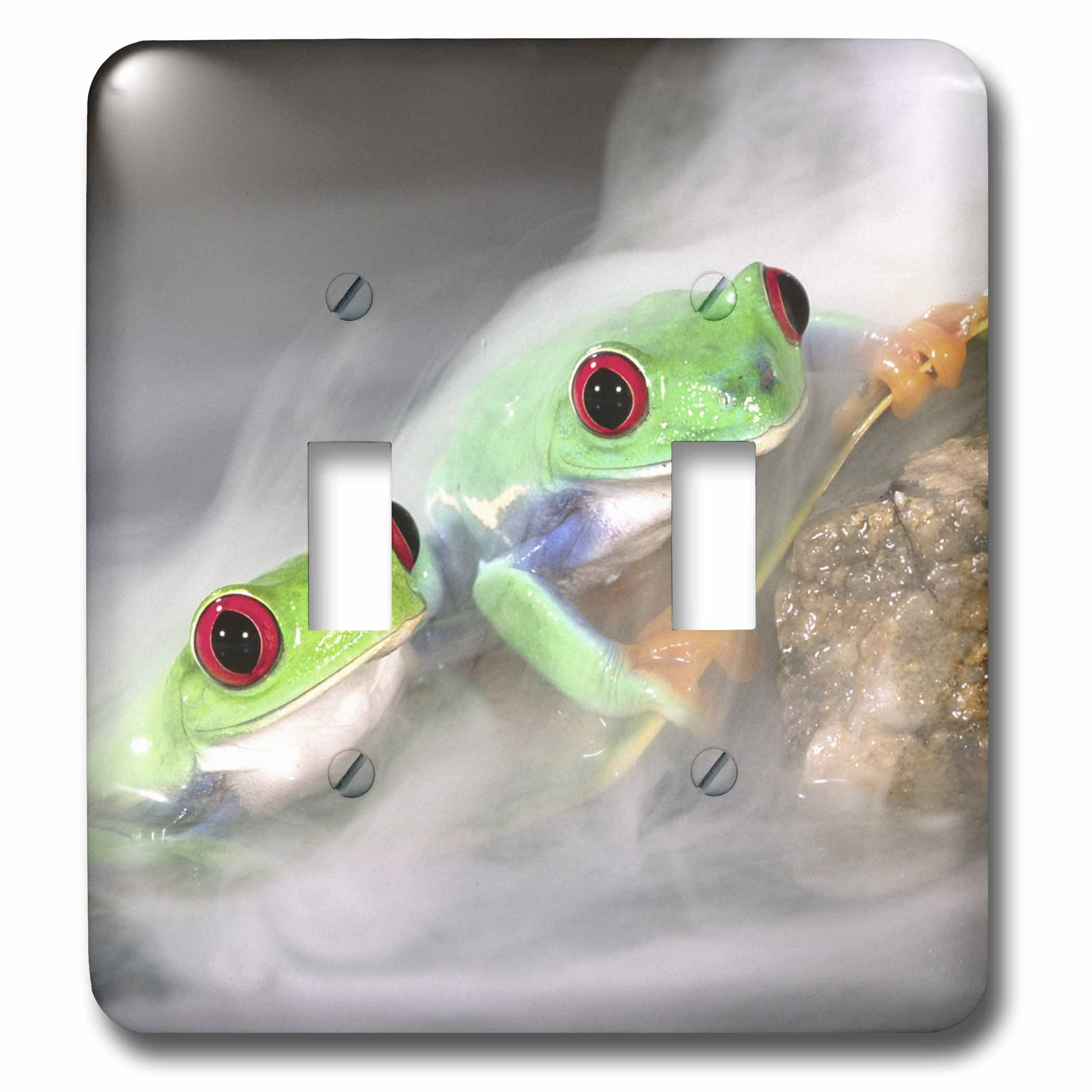 Interrupteur double Red Eye Treefrog lsp_83765_2 3dRose