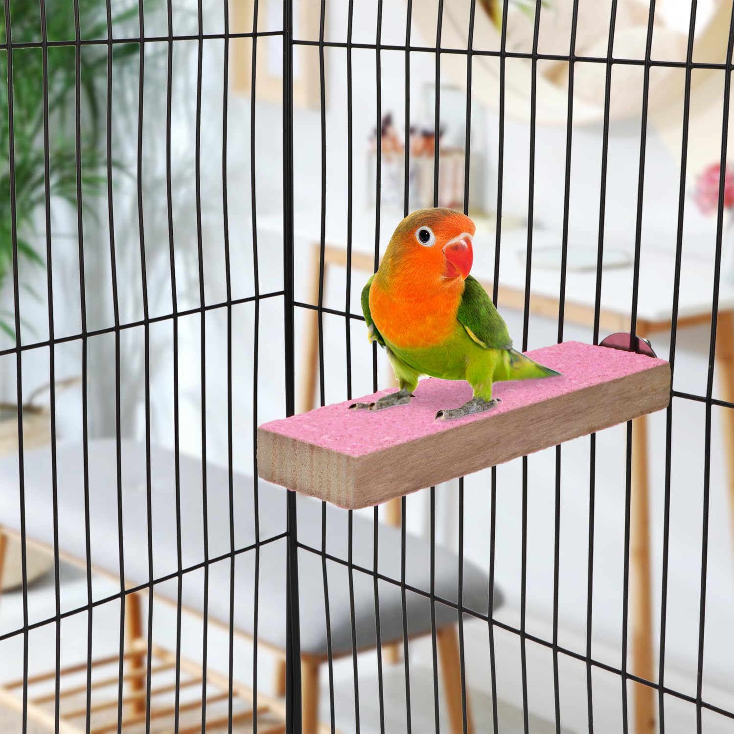 VILLFUL - Juego De 6 Perchas De Madera Natural Para Jaulas De Pájaros - Para Periquitos, Agapornis Y Más - Varios Tamaños (12 A 30 Cm) - Instalación Fácil
