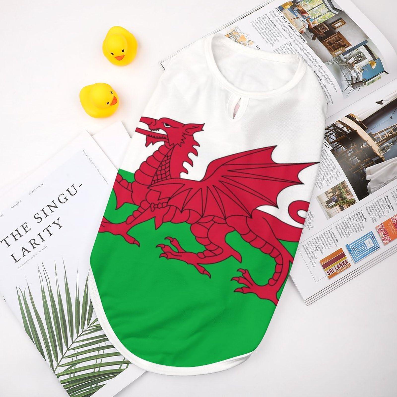 Sweat à Capuche Pays De Galles CYMRU - Drapeau Gallois Pour Enfants - Marque Awdis - Plusieurs Tailles Et Couleurs