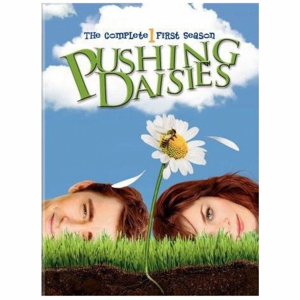 PUSHING DAISIES:COMPLETE 1ST SEASON
