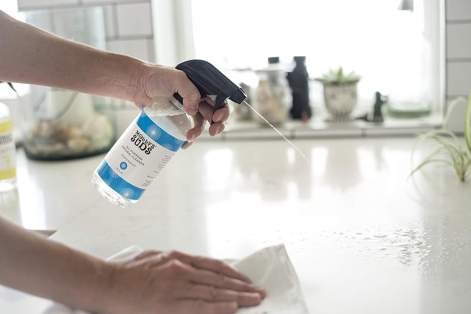 Molly's Suds Natural All Purpose Cleaner | Multi Surface Household Spray | Plant Powered & Bio-based Ingredients | Peppermint, 16 oz (2 Pack) : Health & Household