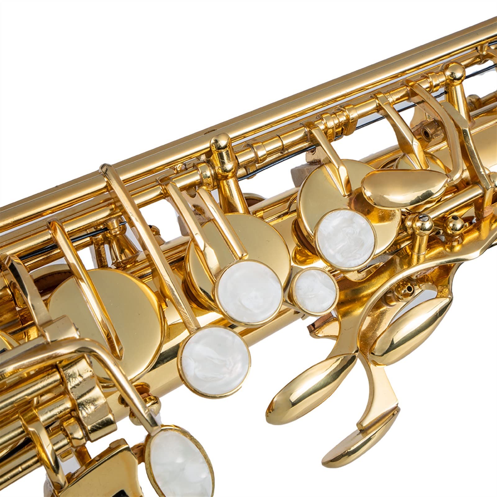 Amazon.co.jp: Saxophone アルトサックスEフラットゴールドラッカー