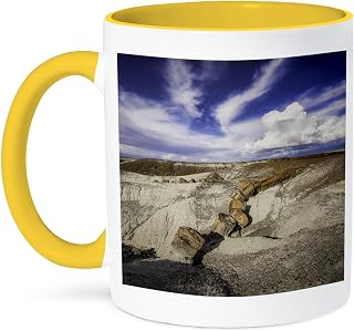 3dRose Coffee Mug, Size - 15oz - Jumbled petrified rock sections in Petrified Forest National Park Graphics National Park - funny coffee cup gift