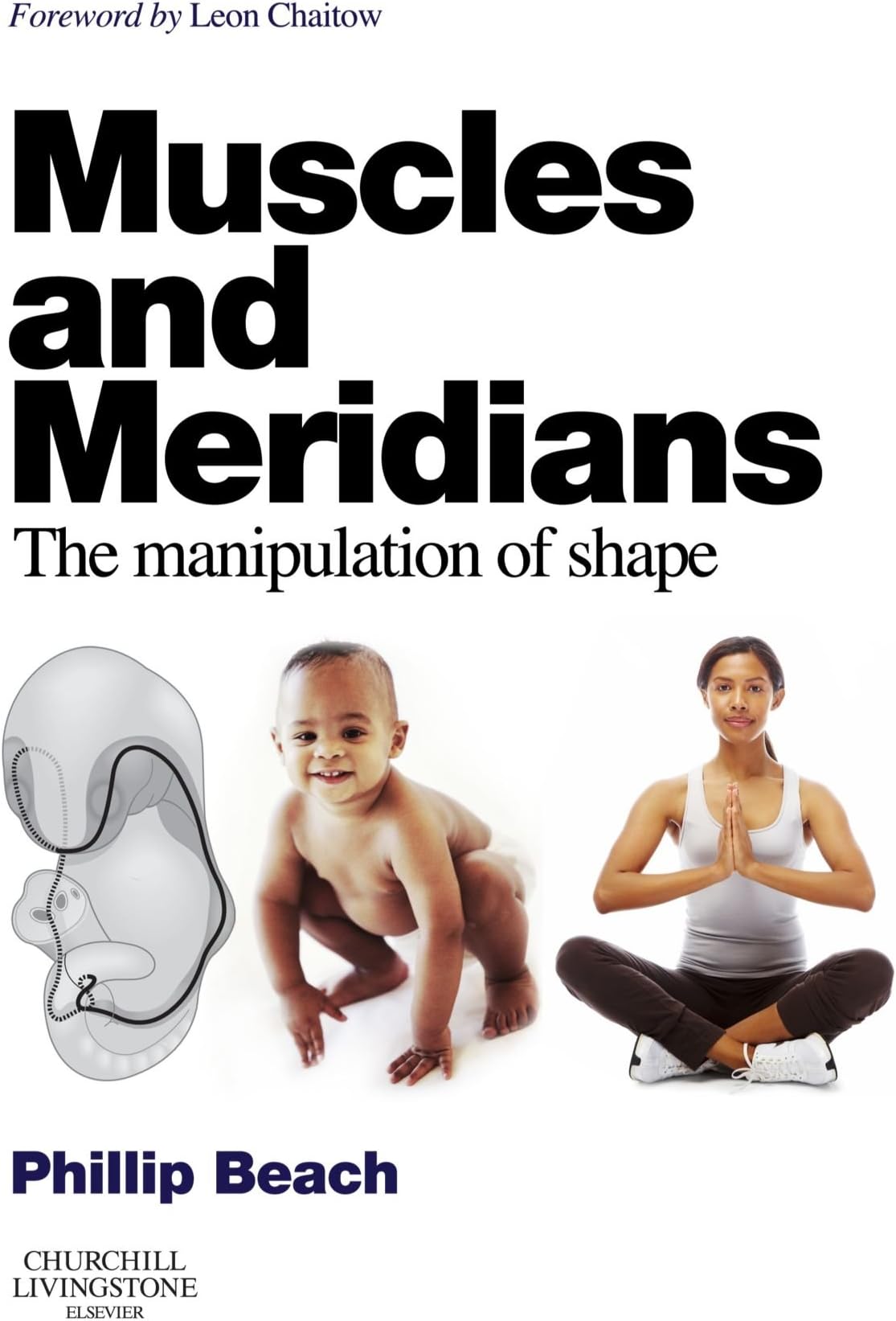 Muscles and Meridians: The Manipulation of Shape