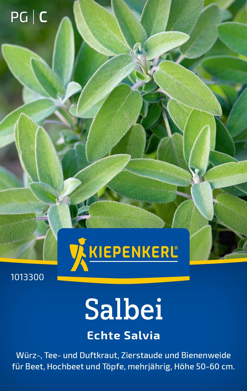 Kiepenkerl Salbeisamen Echte Salvia 10133
