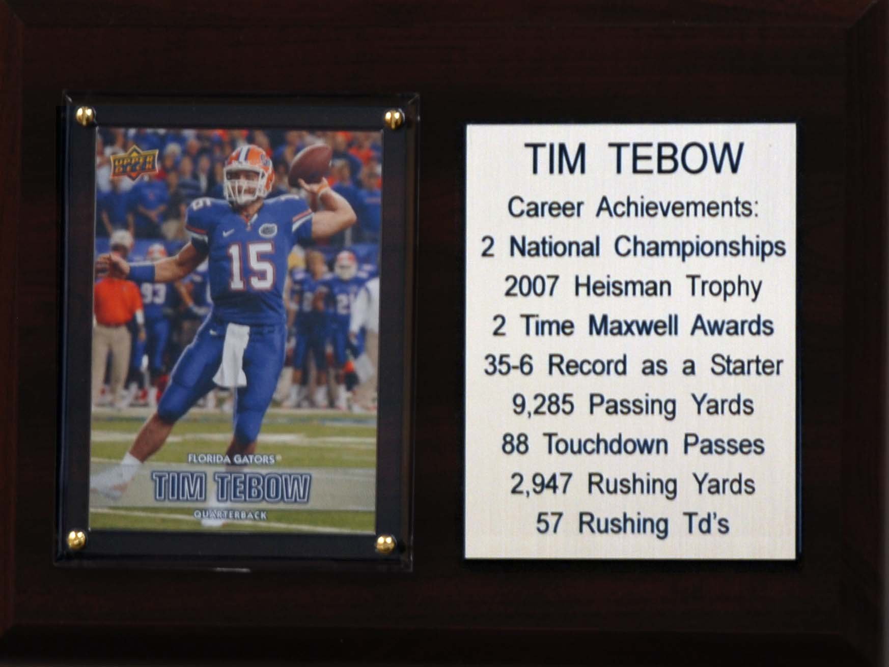 NCAA Florida Gators Tim Tebow Career Stat Plaque, 6" x 8", Brown