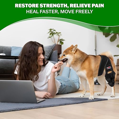 Miniatura 4 de Rodillera mediana para perro para desgarrarse en la pierna trasera, soporte ajustable para la pierna trasera del perro, soportes para piernas de