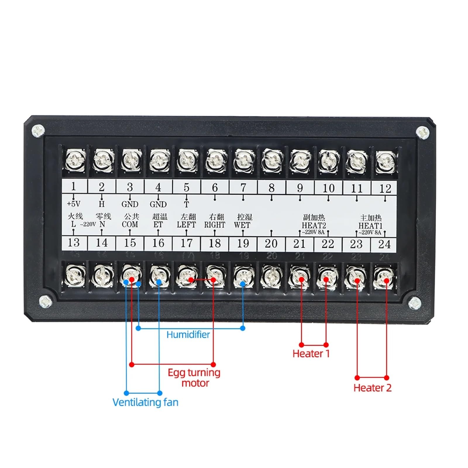 Kontroler Temperatury, XM-18 Mini Inkubator Jaj Cyfrowy Automatyczny Termostat Kontroler System Sterowania Inkubatorem Jaj Maszyna Wylęgarnia