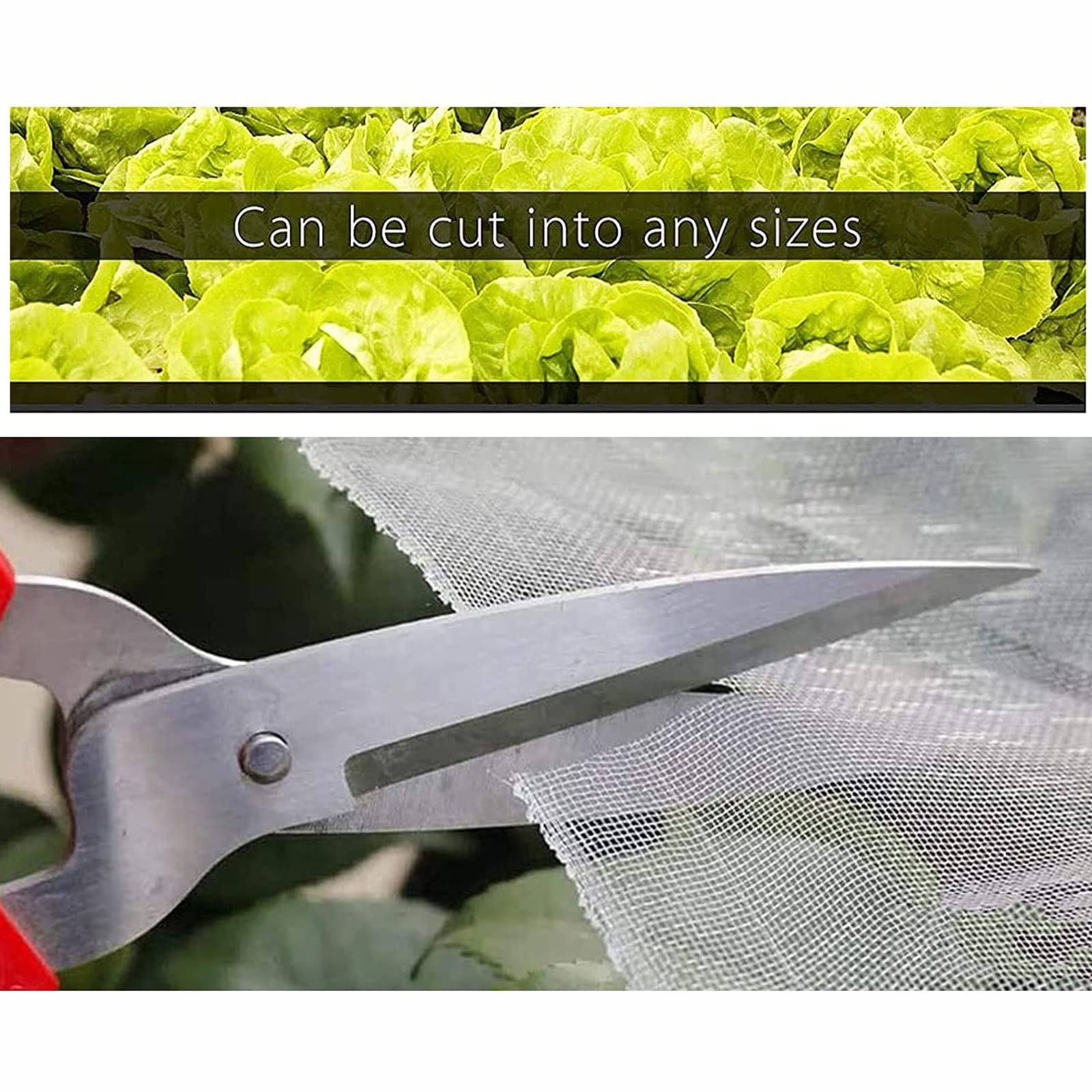 DINGFAN Red de Protección de Insectos, Barrera para Proteger Plantas, Malla Anti-Insectos, Proteger Plantas Flores Frutas, para Evitar Insectos y Pájaros (Tamaño : 4x10m)