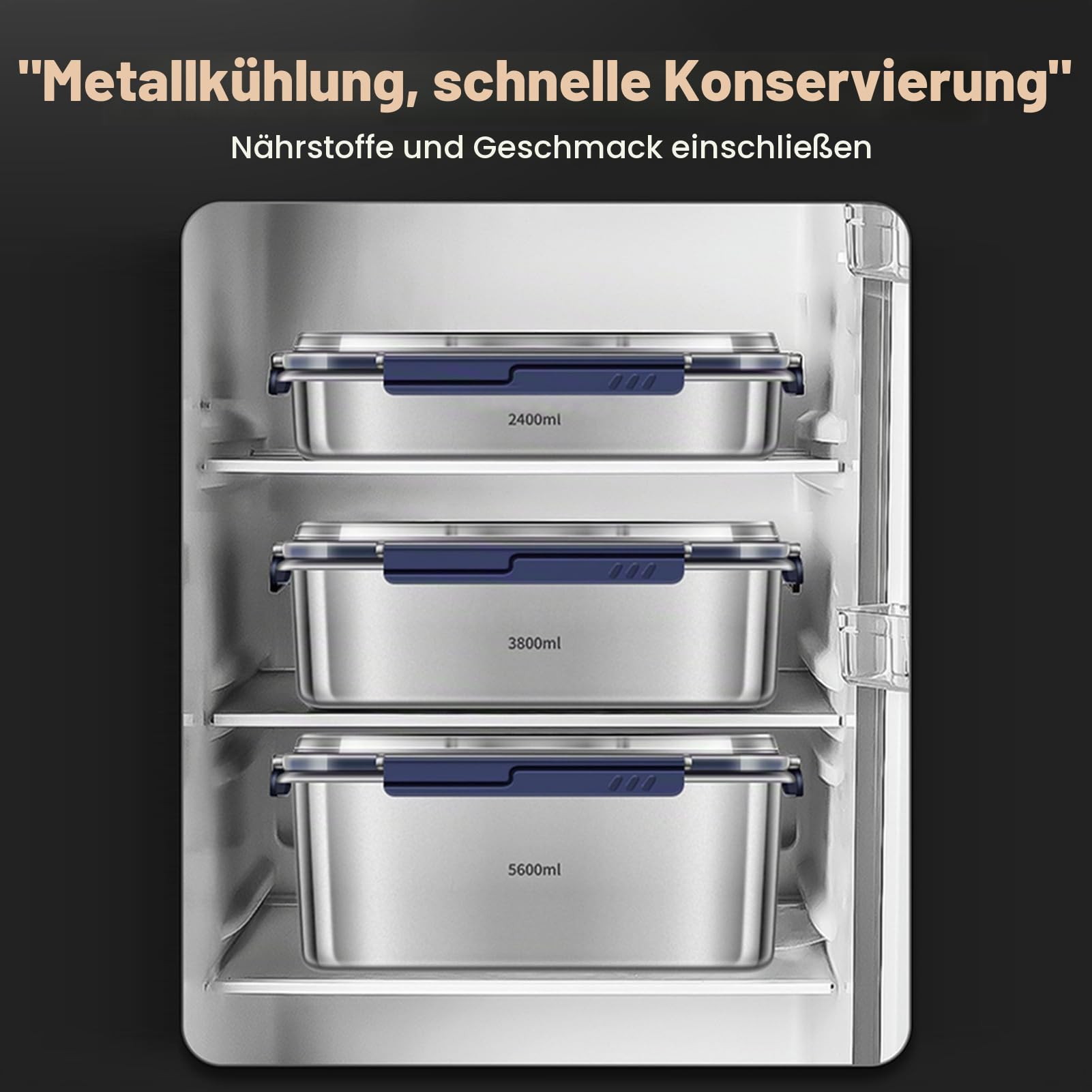Frischhaltedosen mit Deckel, 316er Edelstahl, 5,6 L großes Fassungsvermögen luftdicht auslaufsicherer Küchen-Aufbewahrungsbehälter mit Datumsanzeige, Dichtungsring, verstecktem Griff