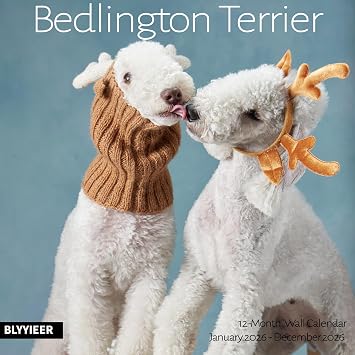 2026 Wall Calendar, Bedlington Terrier Wall Calendar, 12" x 24" Open,Family Planner Calendar, Home & Office Organizer,Hangable, for Dogs Lover
